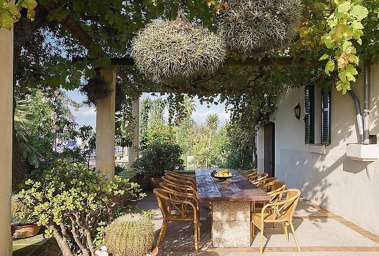 Pergola Pflanzen Bäume Gartentisch Stühle