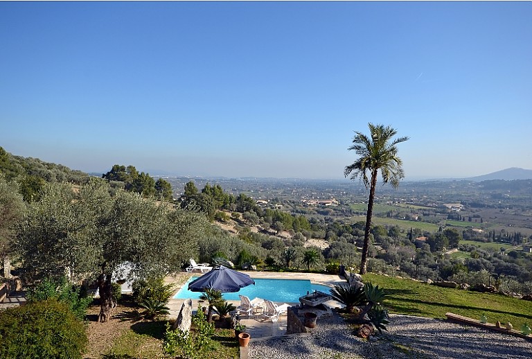 Aussicht Grundstück Pflanzen Pool