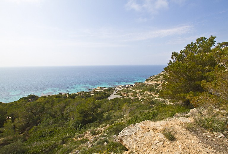 Ferienhaus Mallorca Llucmajor 8 Personen