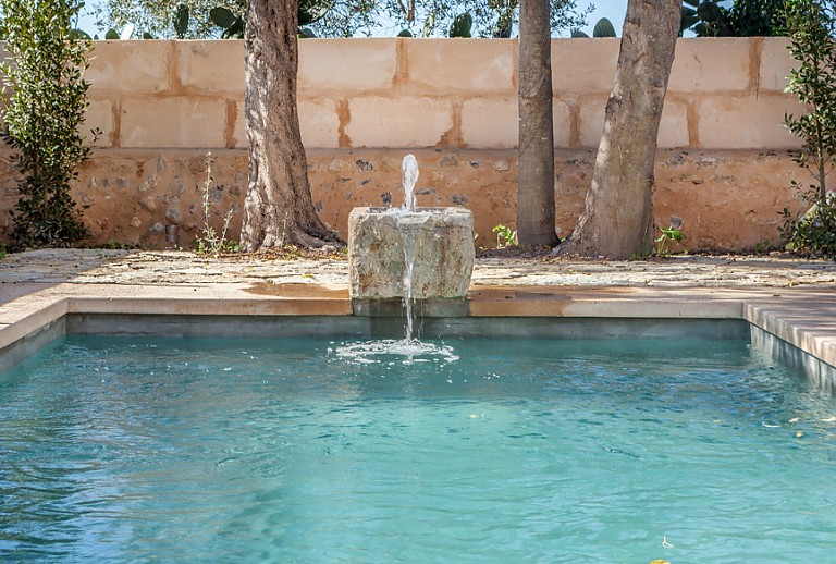 Ferienhaus Mallorca Consell 6 Personen