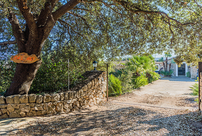 Finca Mallorca Pollenca 5 Personen 