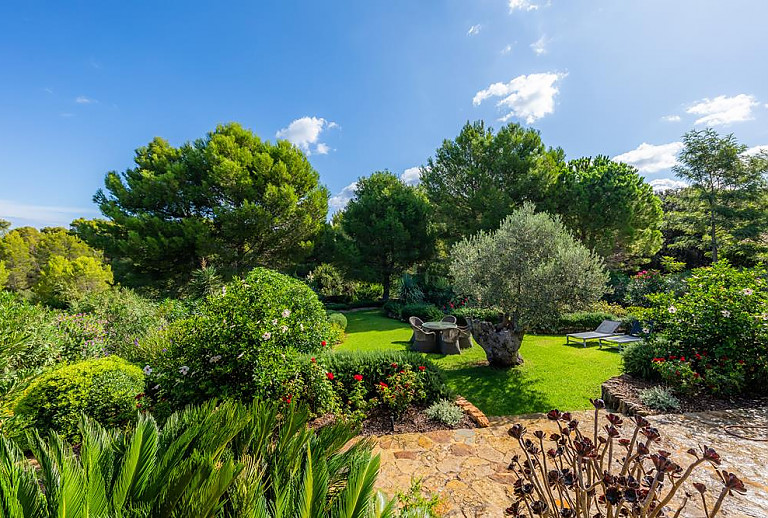 Garten mit Rasenflächen und Bäumen