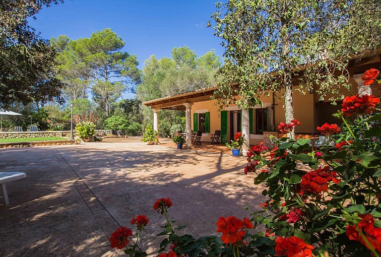 Außenbereich vor der Finca mit Blumen und Bäumen