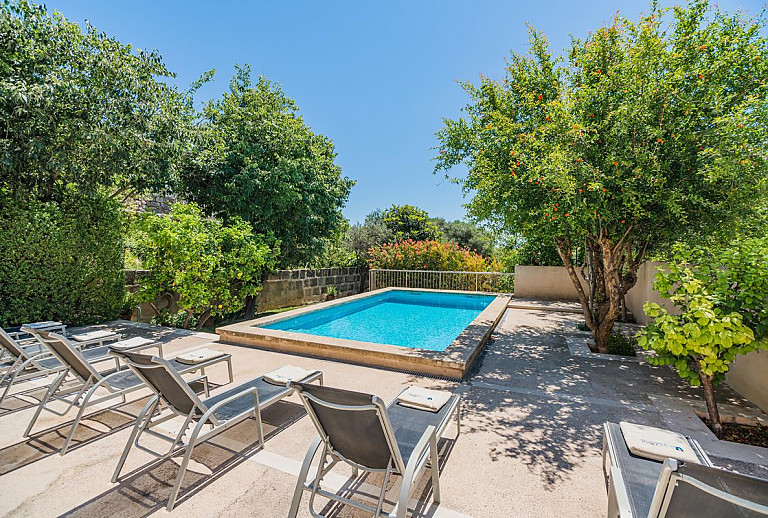 Bäume am Poolbereich vor dem Ferienhaus mit Sonnenliegen