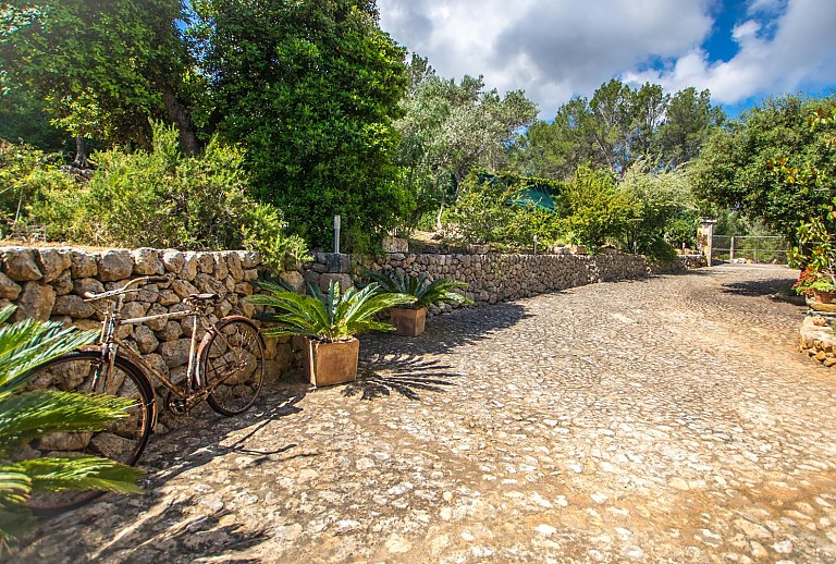 Natursteinmauer im Garten mit Pflanzen 