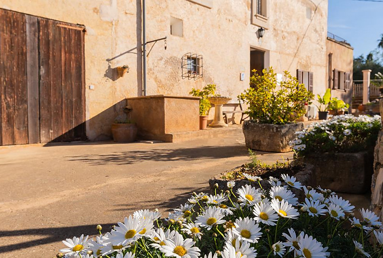 Blumen und Pflanzen vor der Finca